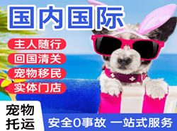 锦州航空快递国际宠物托运 【国